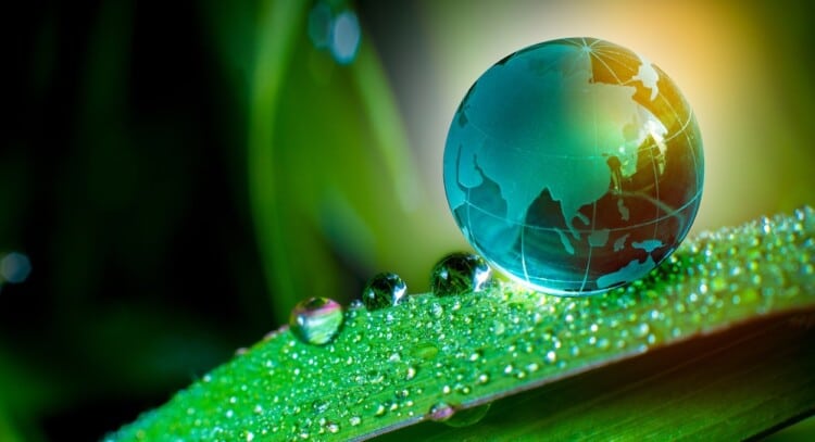Image: Surasak/stock.adobe.com  