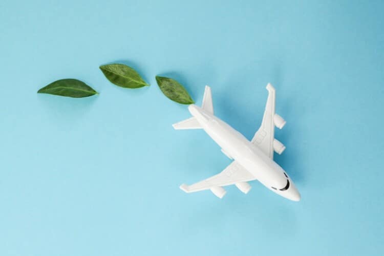 Image: liliya/stock.adobe.com  