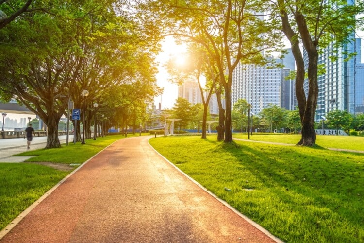 A park in the city.