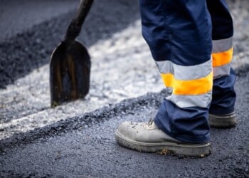 Image: littlewolf1989/stock.adobe.com