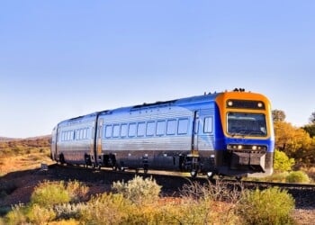 Image: Taras Vyshnya/stock.adobe.com