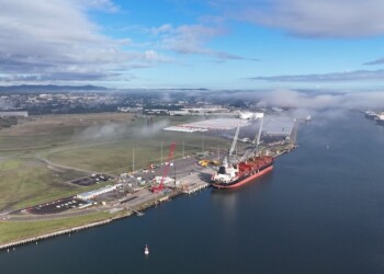 Image: Port of Newcastle.