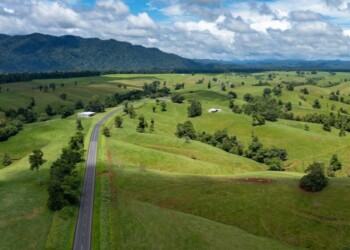 Image: Michael Evans/stock.adobe.com