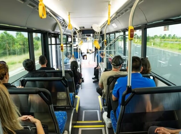 New bus services expand network